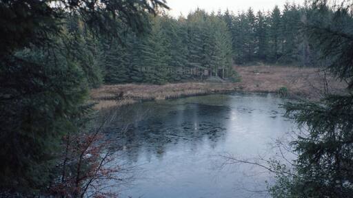 46th RAC Rally, Forest Stage, Harrogate, Yorkshire, England