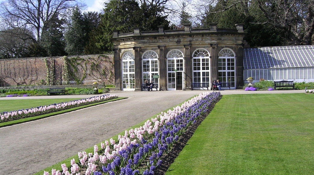 Gardens at Ripley castle