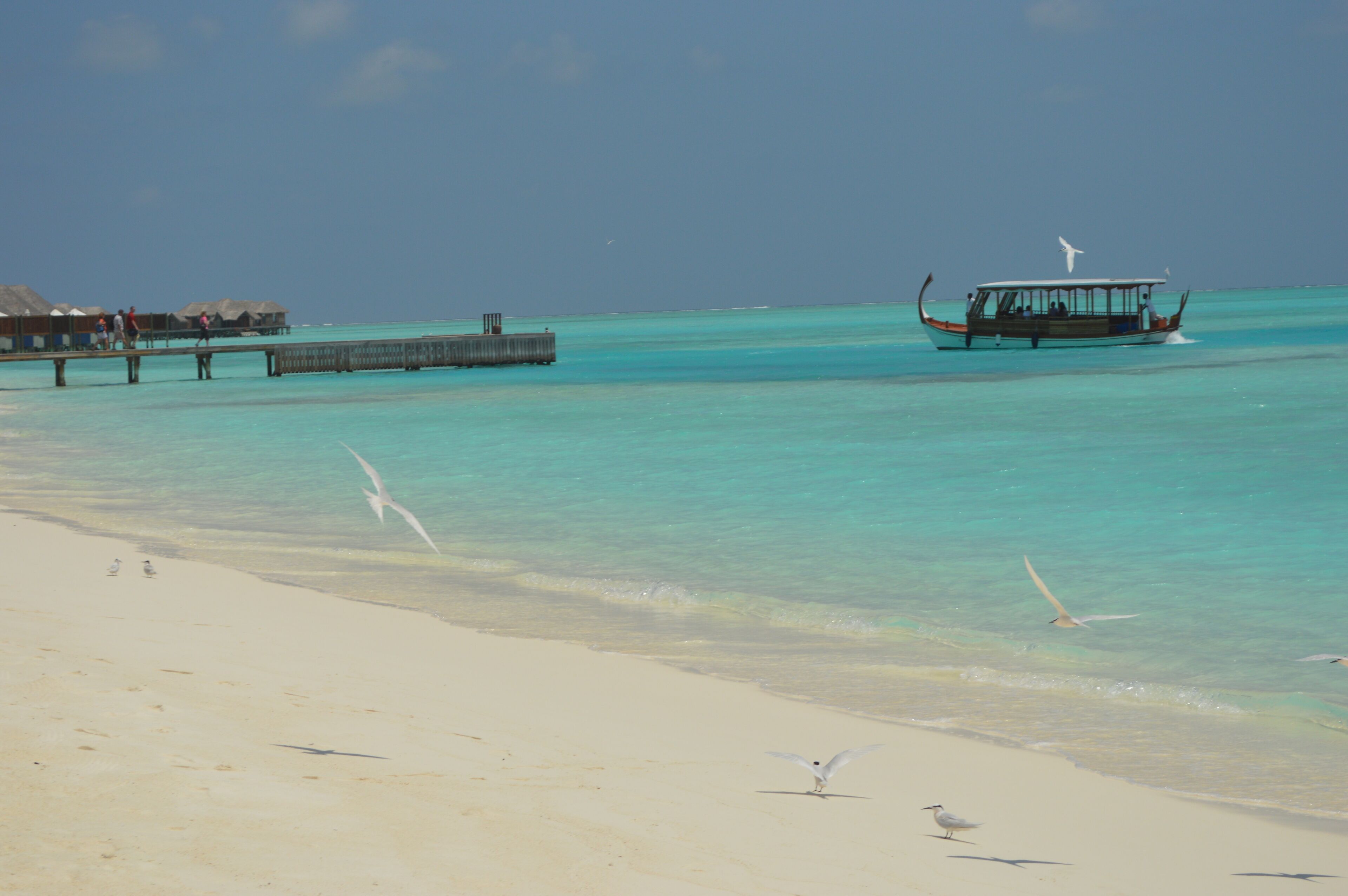 A beach with clear turquoise water, a boat, and a thatched-roof structure.