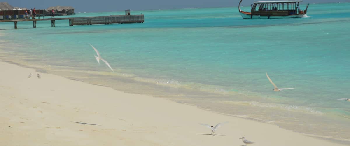 A beach with clear turquoise water, a boat, and a thatched-roof structure.