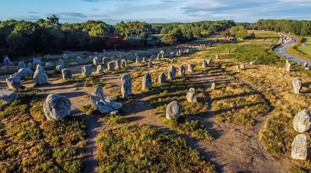 Aerial view of the Carnac stone alignments of Kermario in Morbihan, France - Prehistoric menhirs and megaliths in rows in Brittany