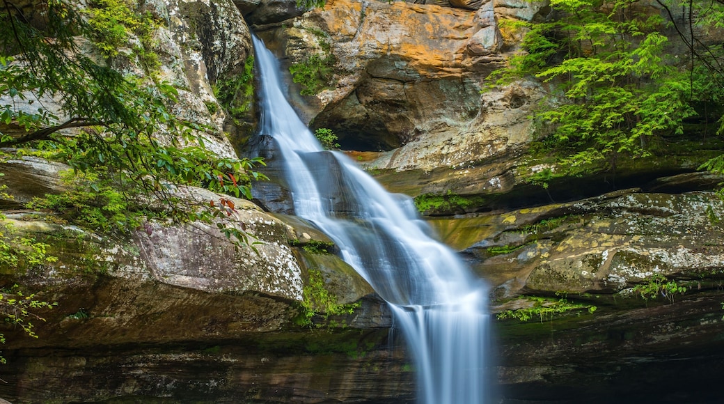 Cedar Falls in Hocking Hills State Park, Ohio