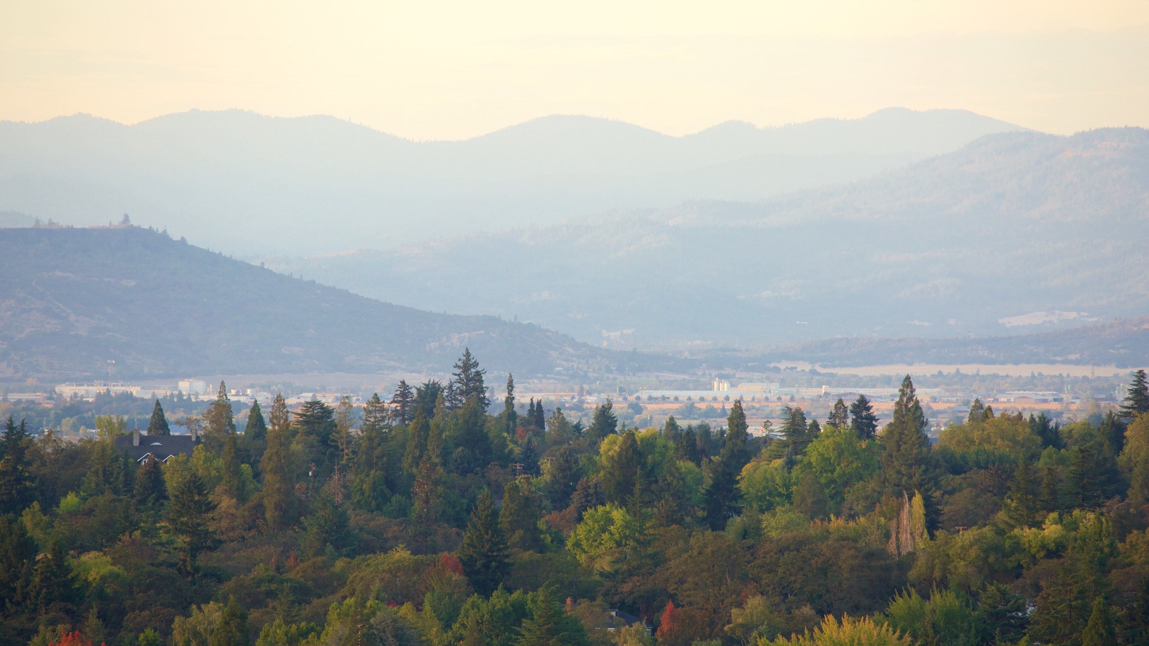 Medford featuring forests