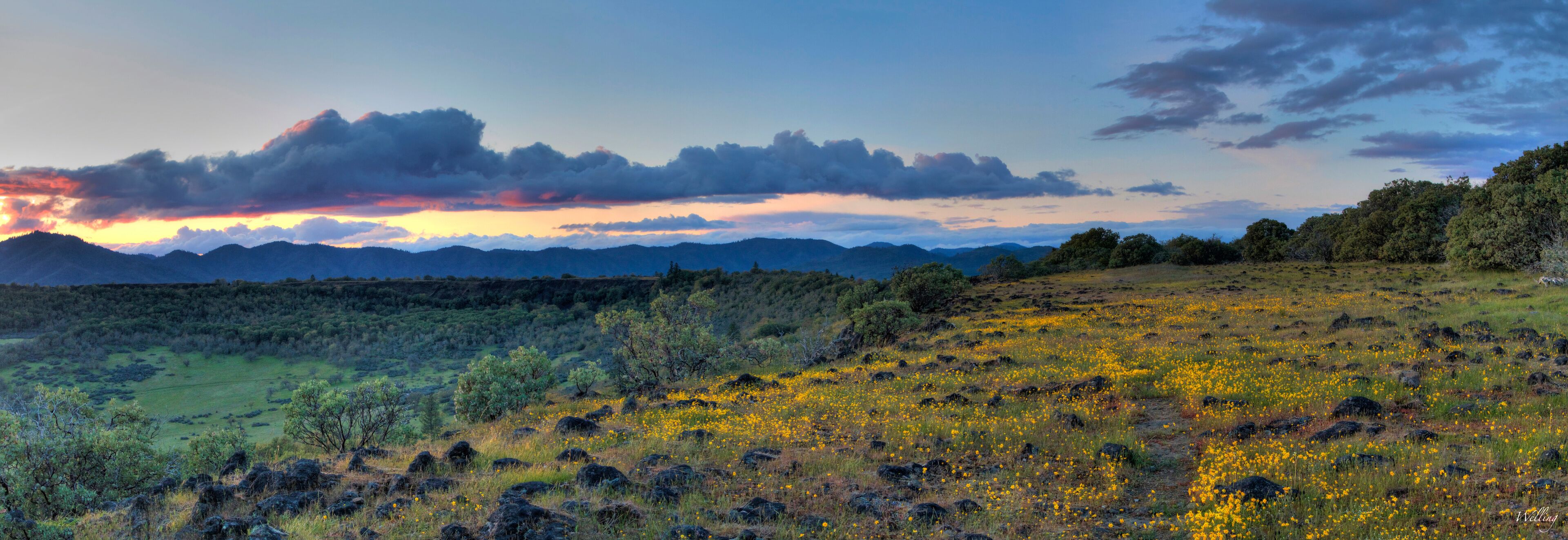 Table Rock Medford Oregon Spring Flower Sunset