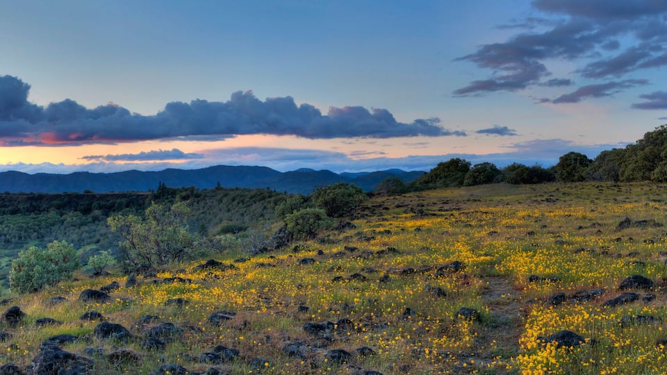 A mountainous landscape with a field of yellow flowers and a sunset.