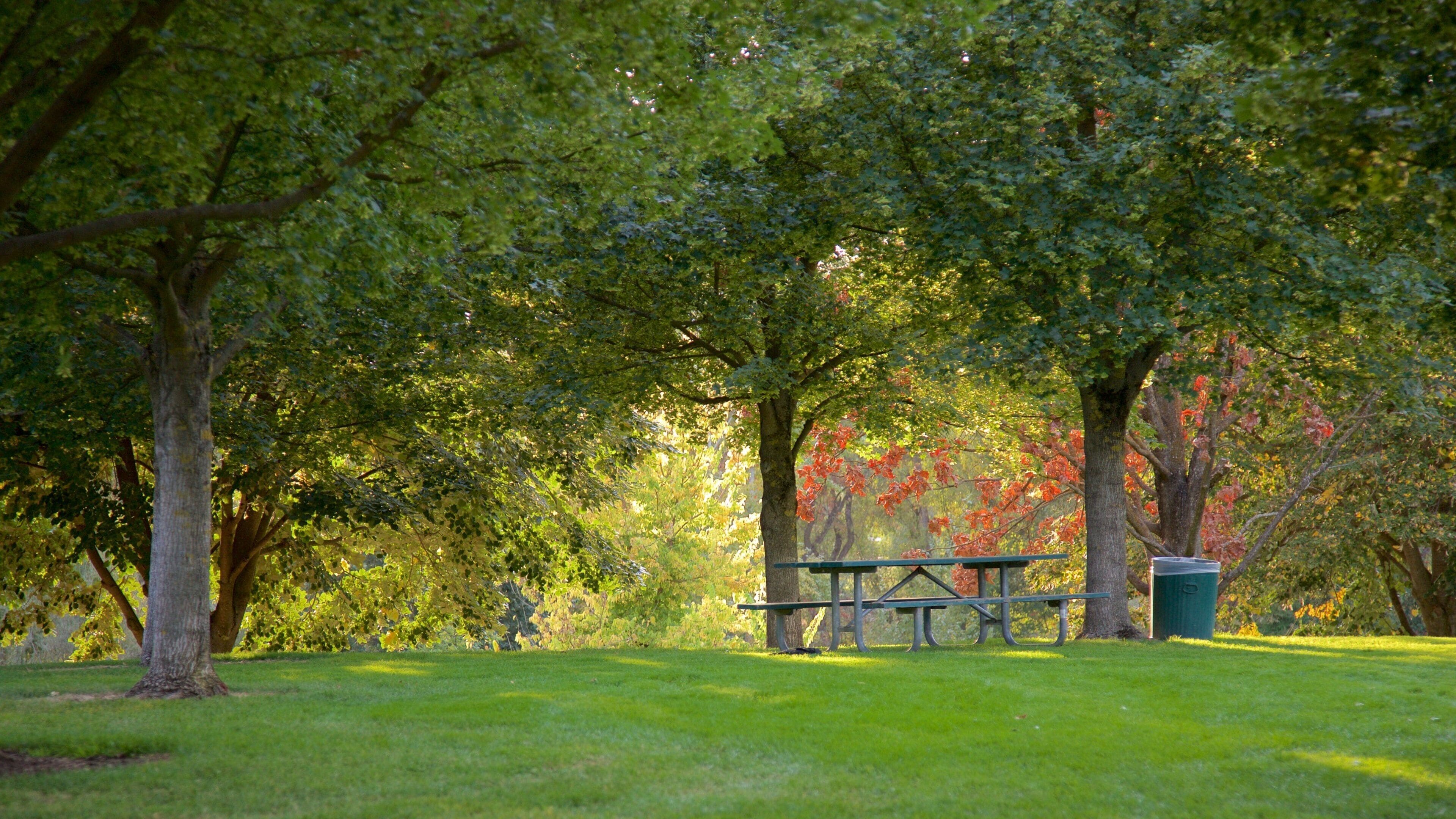 Medford som inkluderer hage