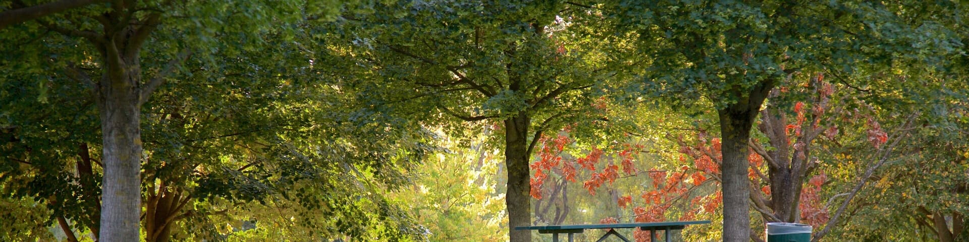 Medford which includes a garden