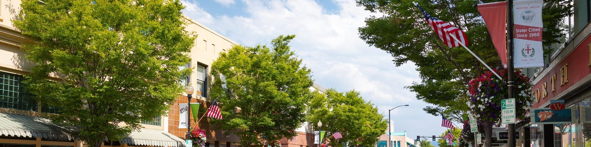 A tree-lined street with storefronts, American flags, and a bicycle lane.