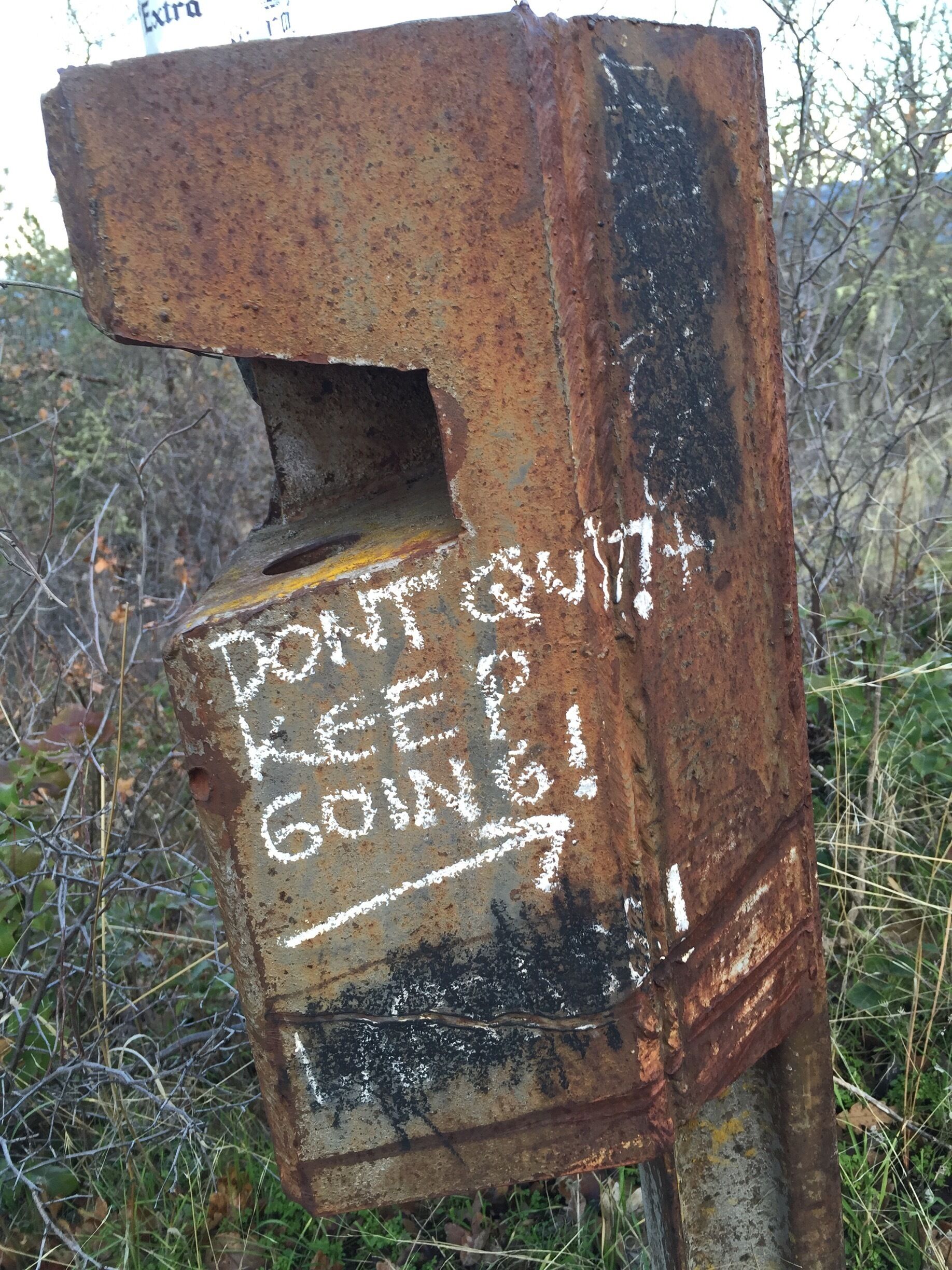 A great little hike right in town! 