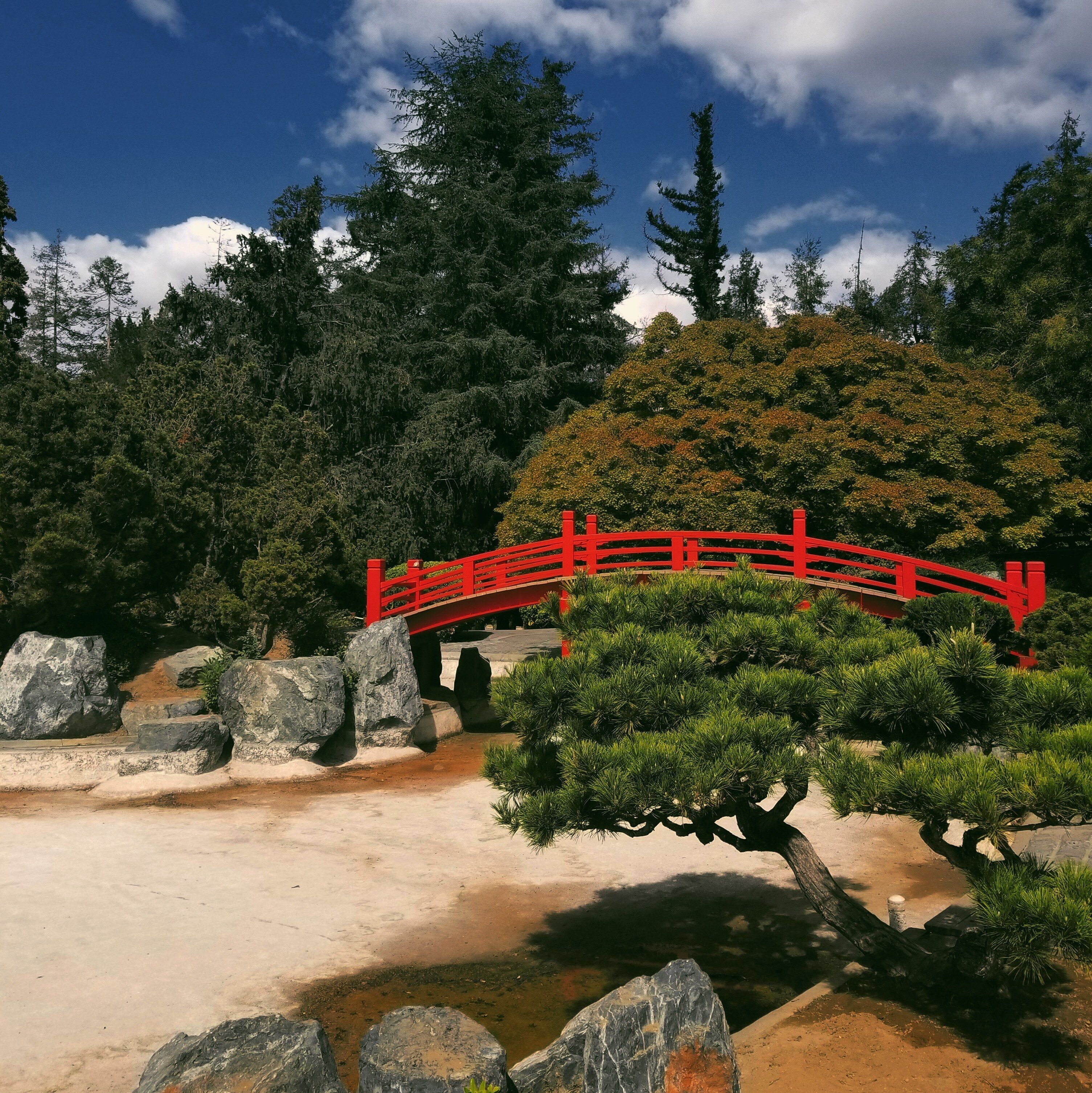 Great place for a family walk. Koi fish, hummingbirds, a lot of greenies and nice spots to take pictures. Suitable location for outdoor professional photography