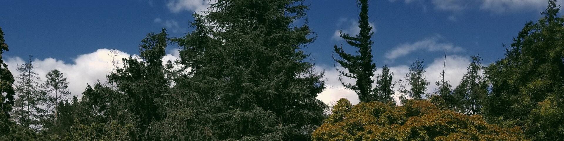 Great place for a family walk. Koi fish, hummingbirds, a lot of greenies and nice spots to take pictures. Suitable location for outdoor professional photography