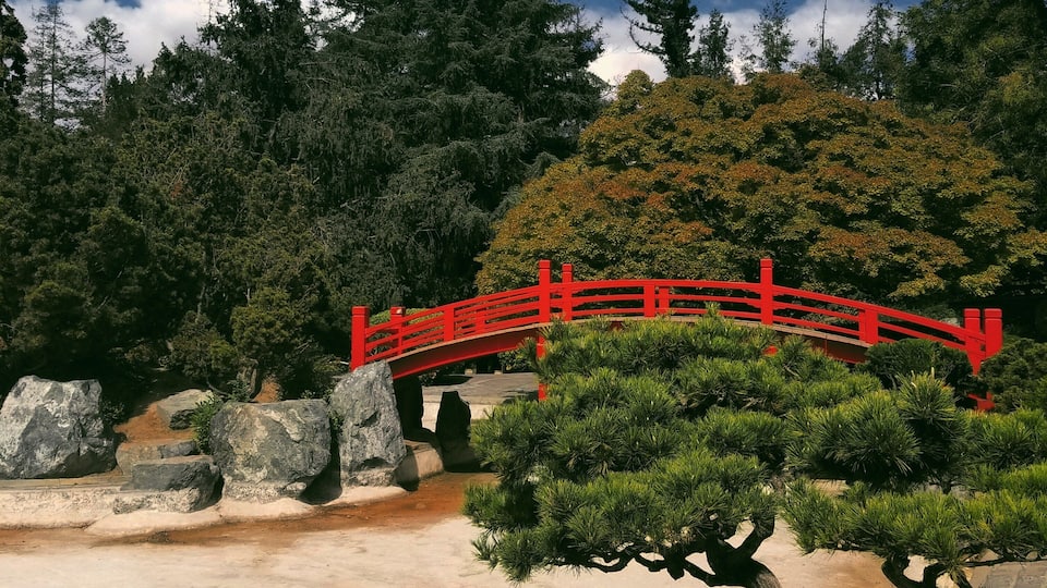 Great place for a family walk. Koi fish, hummingbirds, a lot of greenies and nice spots to take pictures. Suitable location for outdoor professional photography