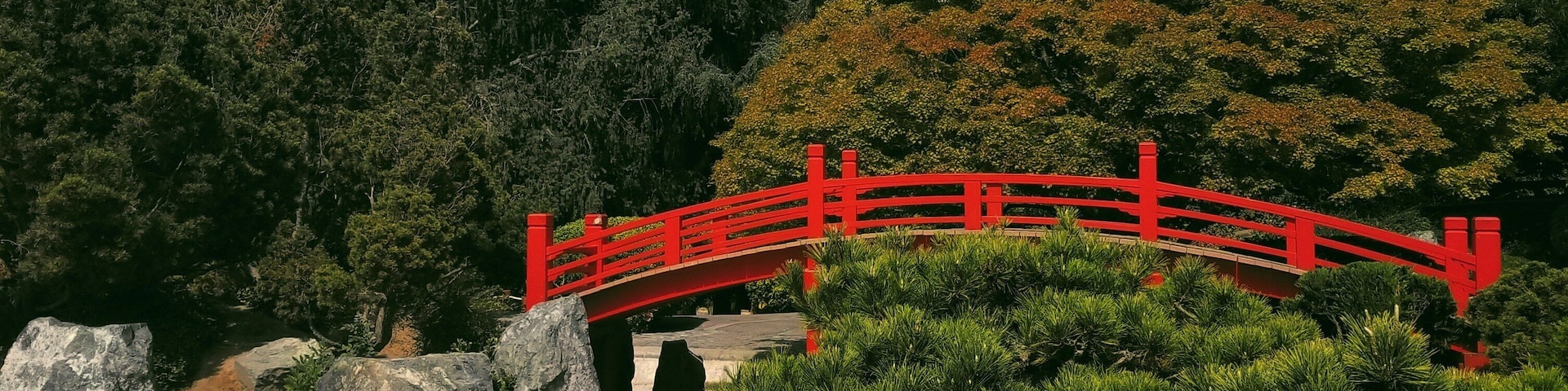 Great place for a family walk. Koi fish, hummingbirds, a lot of greenies and nice spots to take pictures. Suitable location for outdoor professional photography