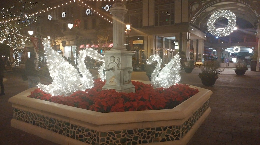 A perfect holiday evening ❤