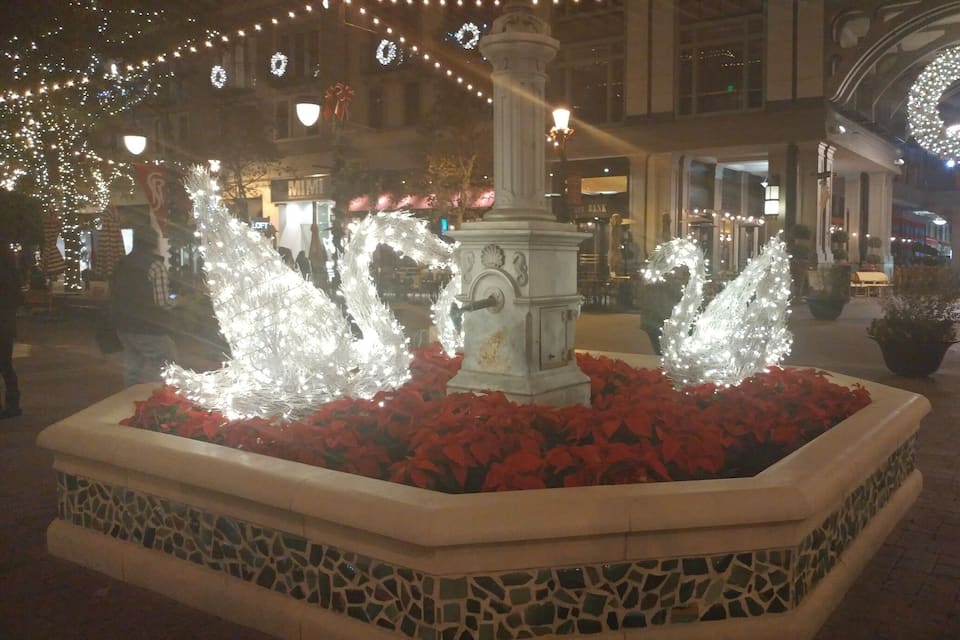 A fountain with water jets in a tiled planter surrounded by red poinsettia plants.