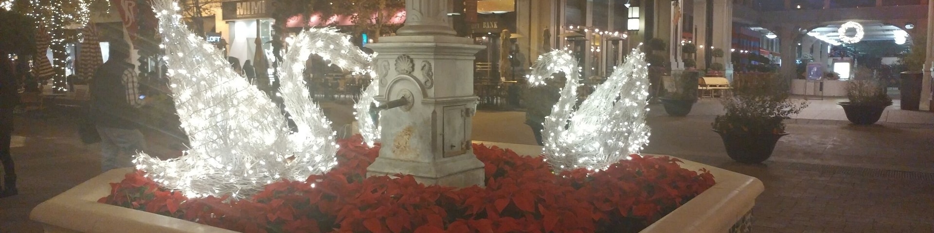 A perfect holiday evening ❤