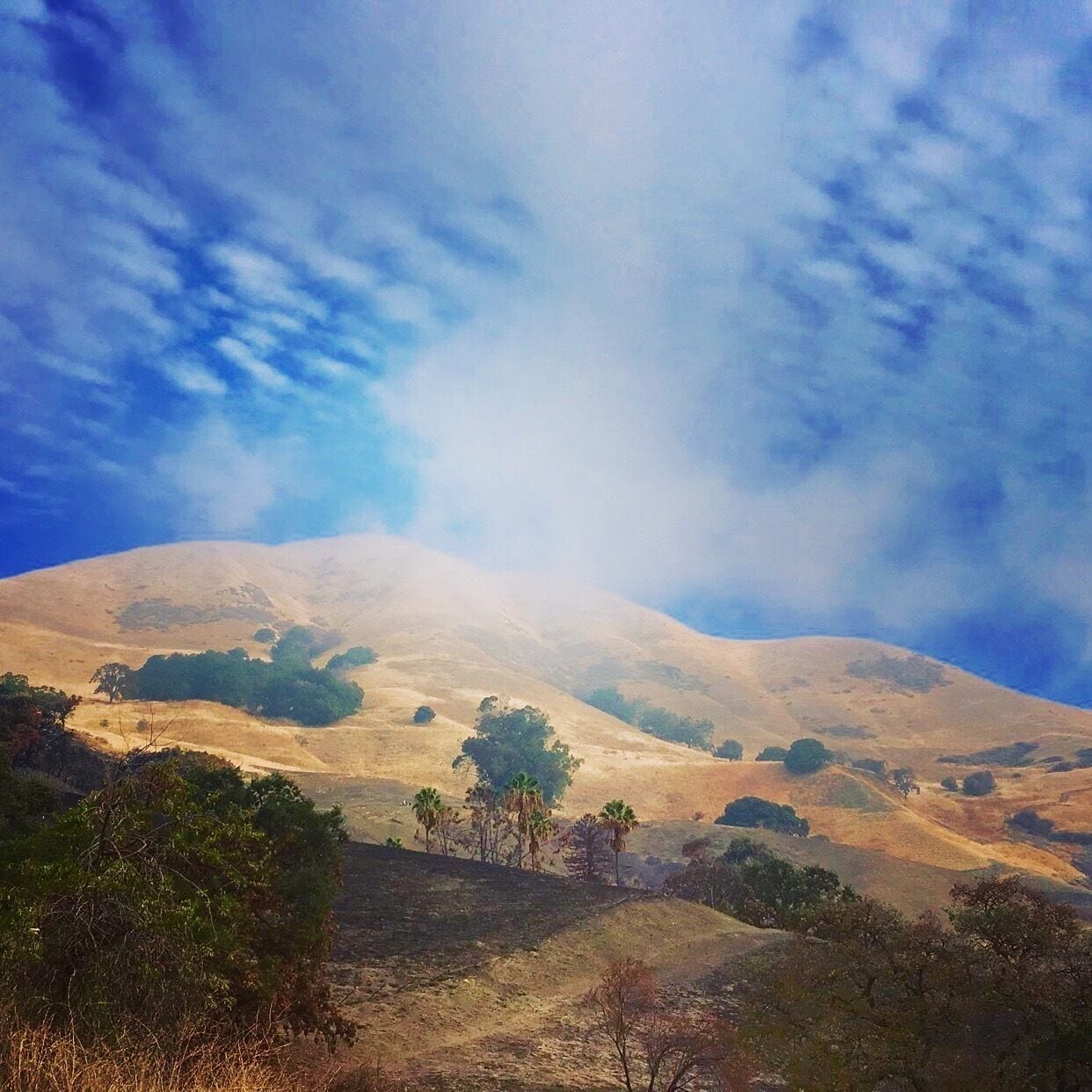 Best hike in the early mornings