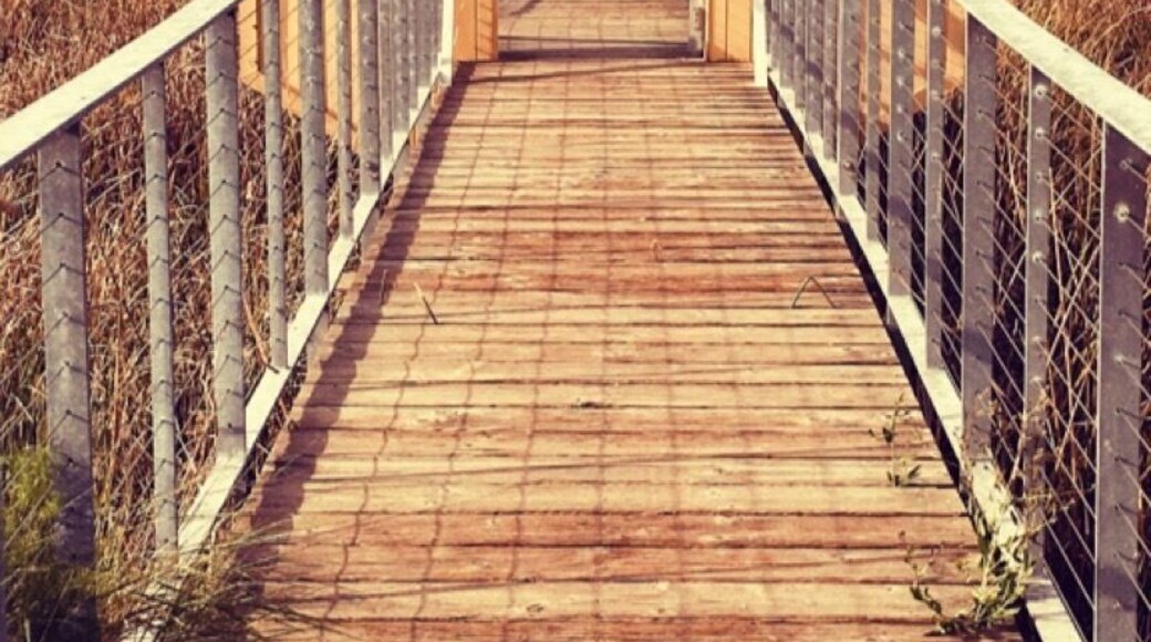 Best place for bike trails