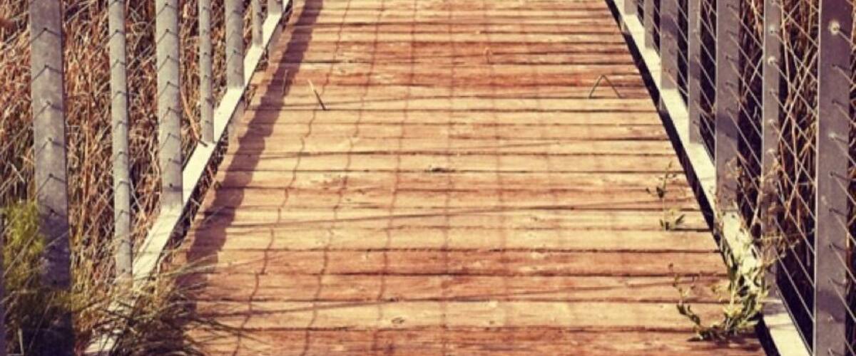 Best place for bike trails