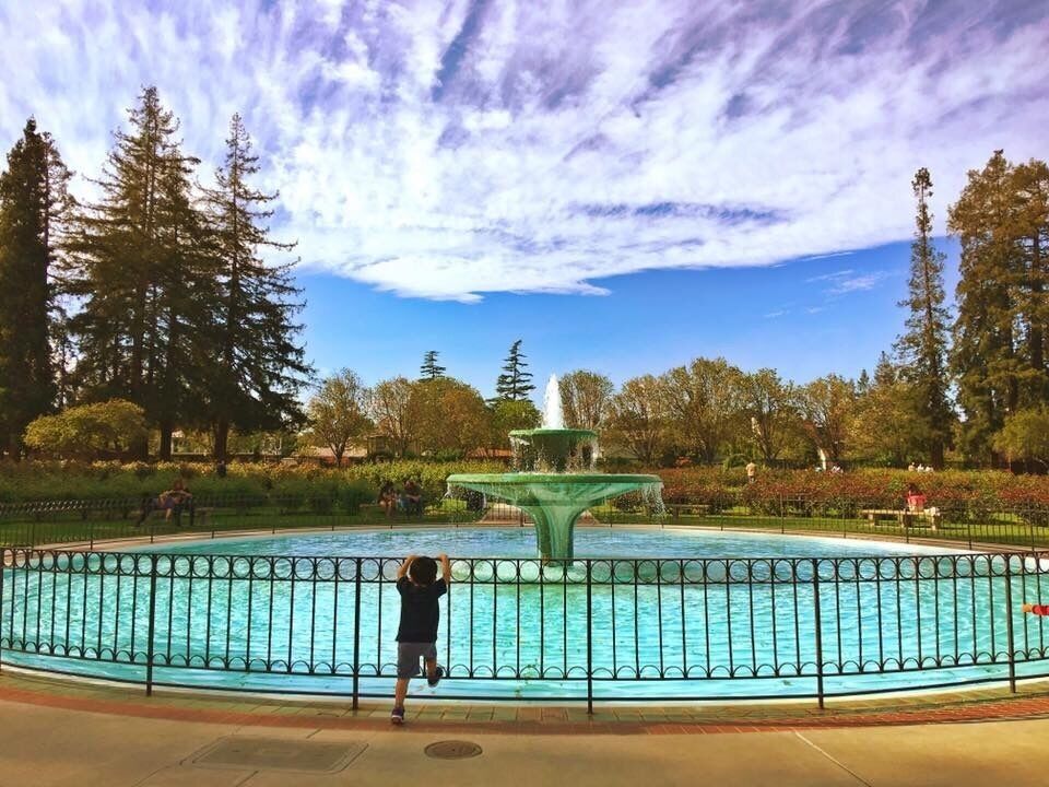 One of locals favorite park in San Jose, Calif. 