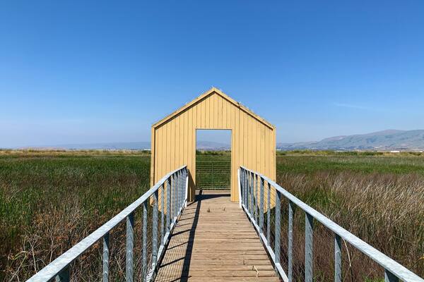 Nice little marsh on the edge of San Jose, CA.