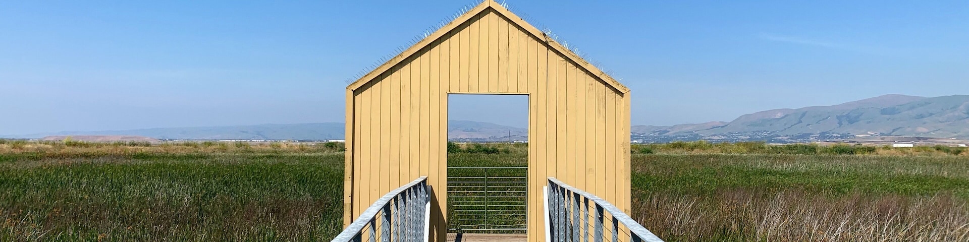 Nice little marsh on the edge of San Jose, CA.