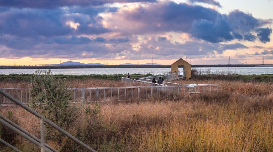 A nice wooden suspended trail from the park to the salty lake. Excellent place for sunsets.