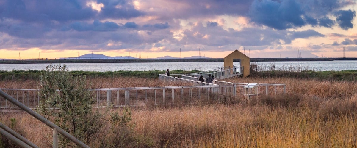 A nice wooden suspended trail from the park to the salty lake. Excellent place for sunsets.