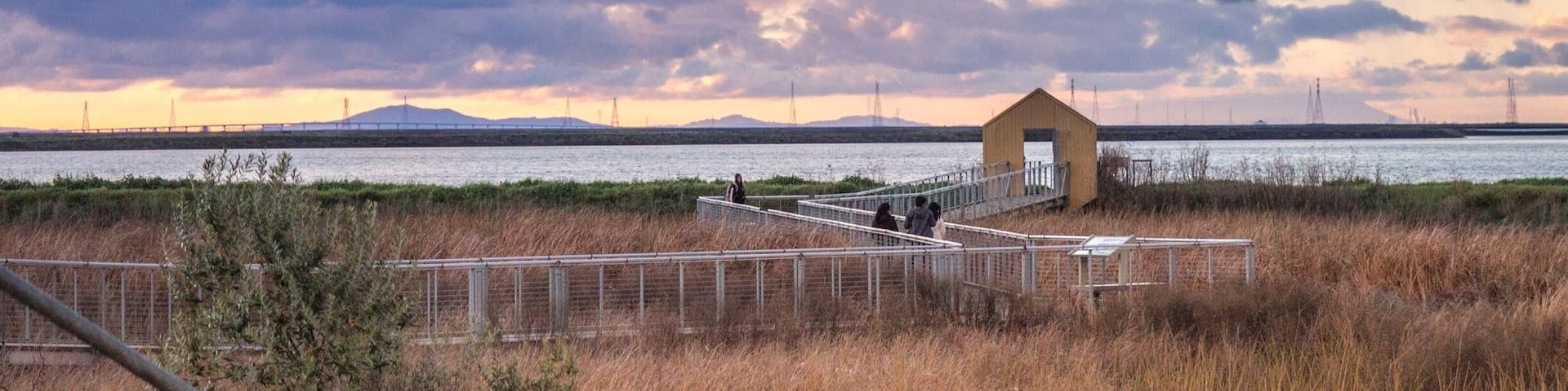 A nice wooden suspended trail from the park to the salty lake. Excellent place for sunsets.