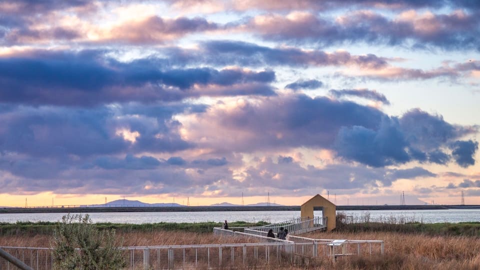 A nice wooden suspended trail from the park to the salty lake. Excellent place for sunsets.