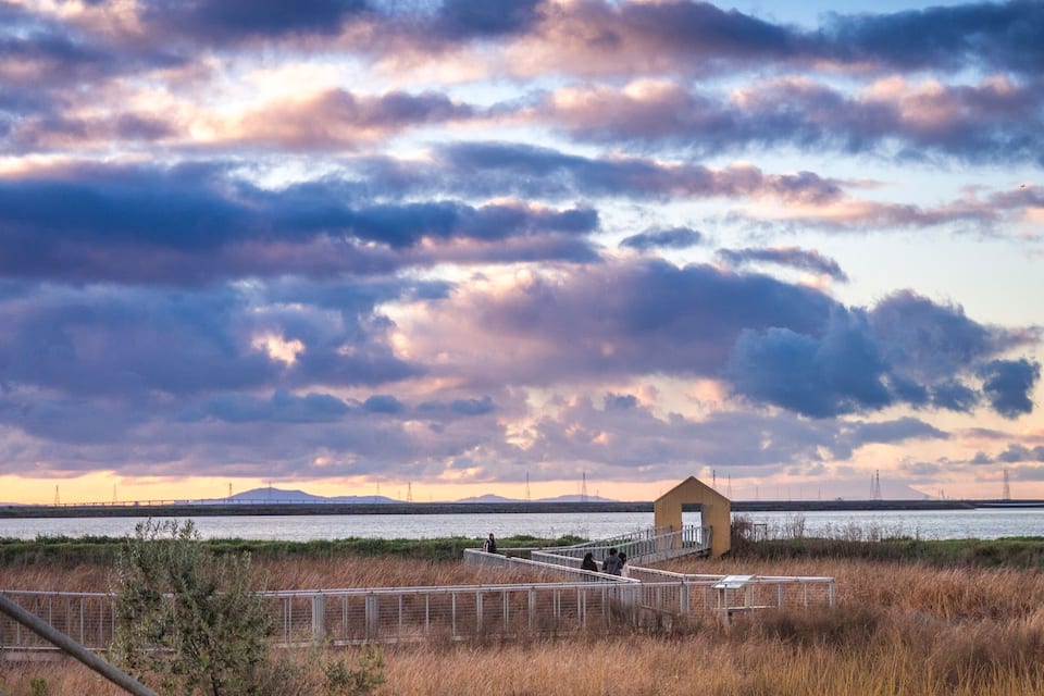 A coastal landscape with a wooden structure, a bridge, and a river.