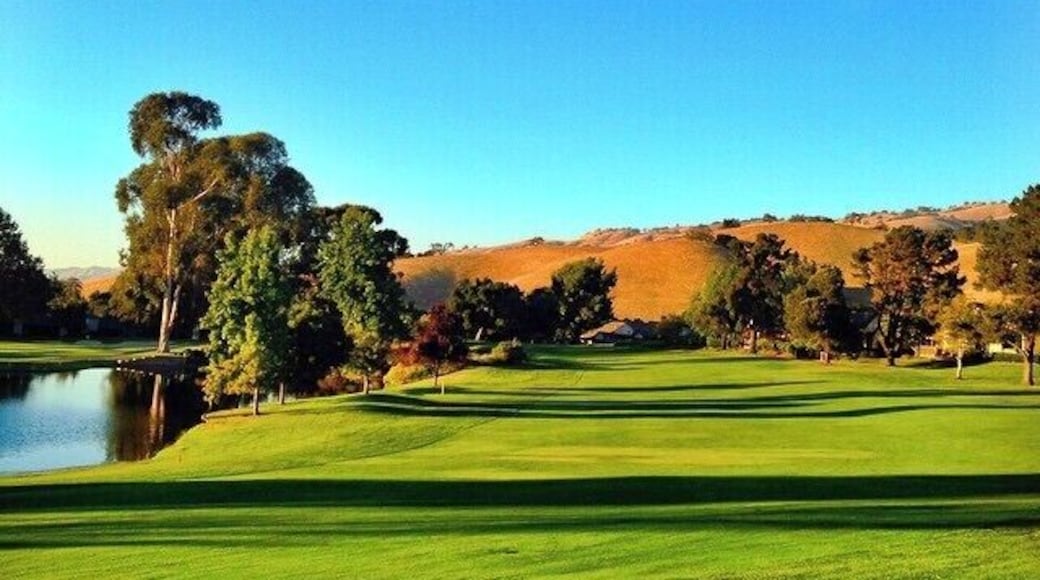 The sky is so blue, the grass so green, and the weather is perfect with no humidity. This area is one to sit outside and enjoy the weather with a cup of tea or coffee. It's perfect to watch the sun set and the geese or ducks swimming in the lake. And, I suppose, if you're up for it -- the golf course is pretty good too.