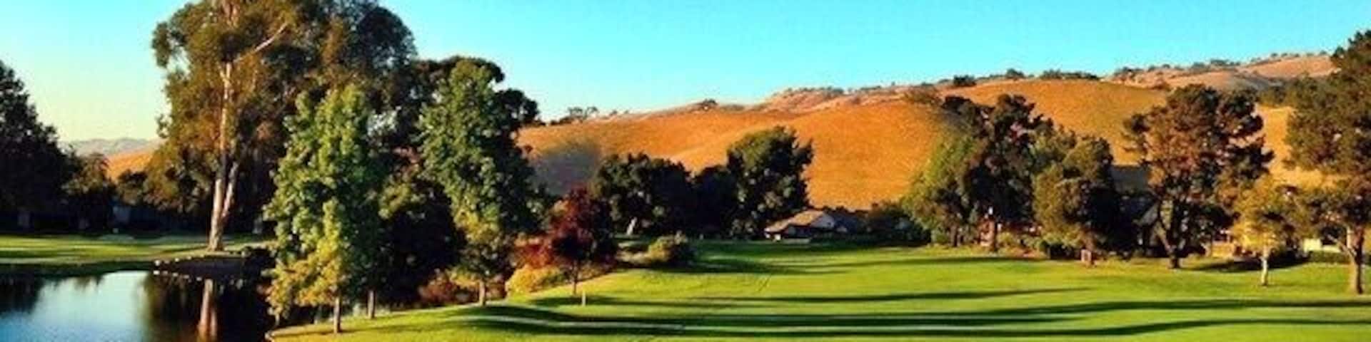 The sky is so blue, the grass so green, and the weather is perfect with no humidity. This area is one to sit outside and enjoy the weather with a cup of tea or coffee. It's perfect to watch the sun set and the geese or ducks swimming in the lake. And, I suppose, if you're up for it -- the golf course is pretty good too.