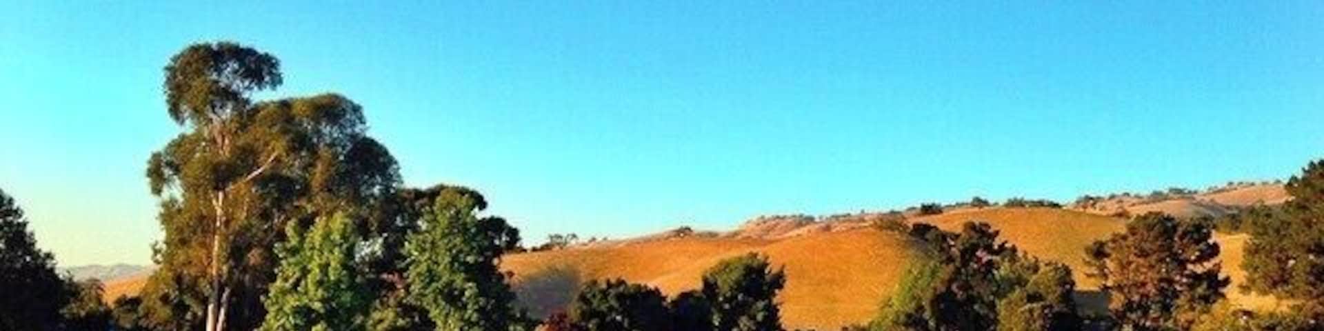 The sky is so blue, the grass so green, and the weather is perfect with no humidity. This area is one to sit outside and enjoy the weather with a cup of tea or coffee. It's perfect to watch the sun set and the geese or ducks swimming in the lake. And, I suppose, if you're up for it -- the golf course is pretty good too.