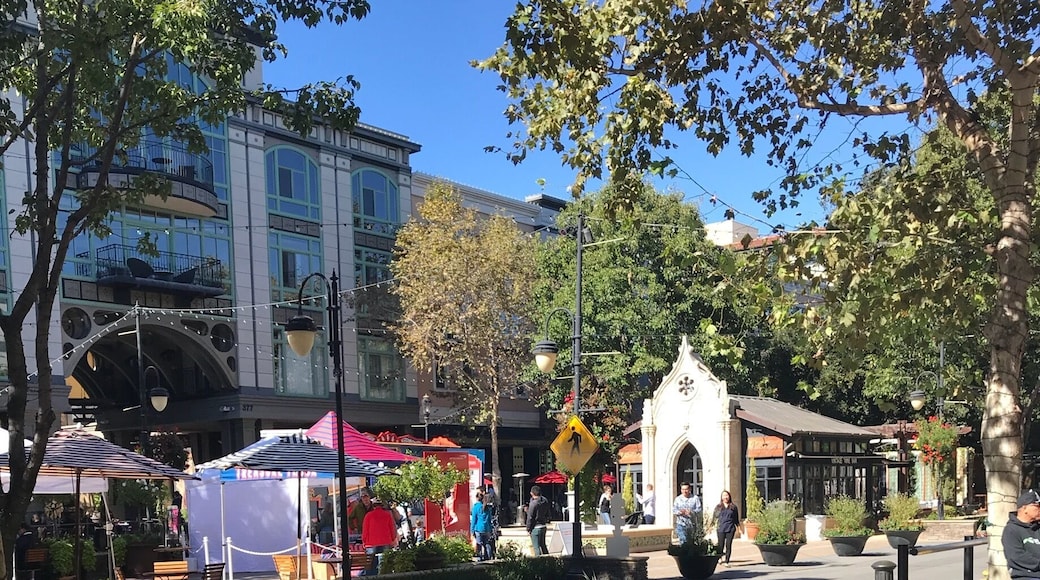 This is a great place across from the mall where you could eat at a diverse set of restaurants!