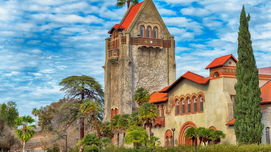 San Jose is a great city in all respects. The MLK, Jr. Library is situated in dowtown just 5 minutes away from town hall . The campus is great especially behind the library where you can find this old constructions covered in ivy and if the sky will cooperate that day you might get amazing pictures. Great location for group photos and other events.