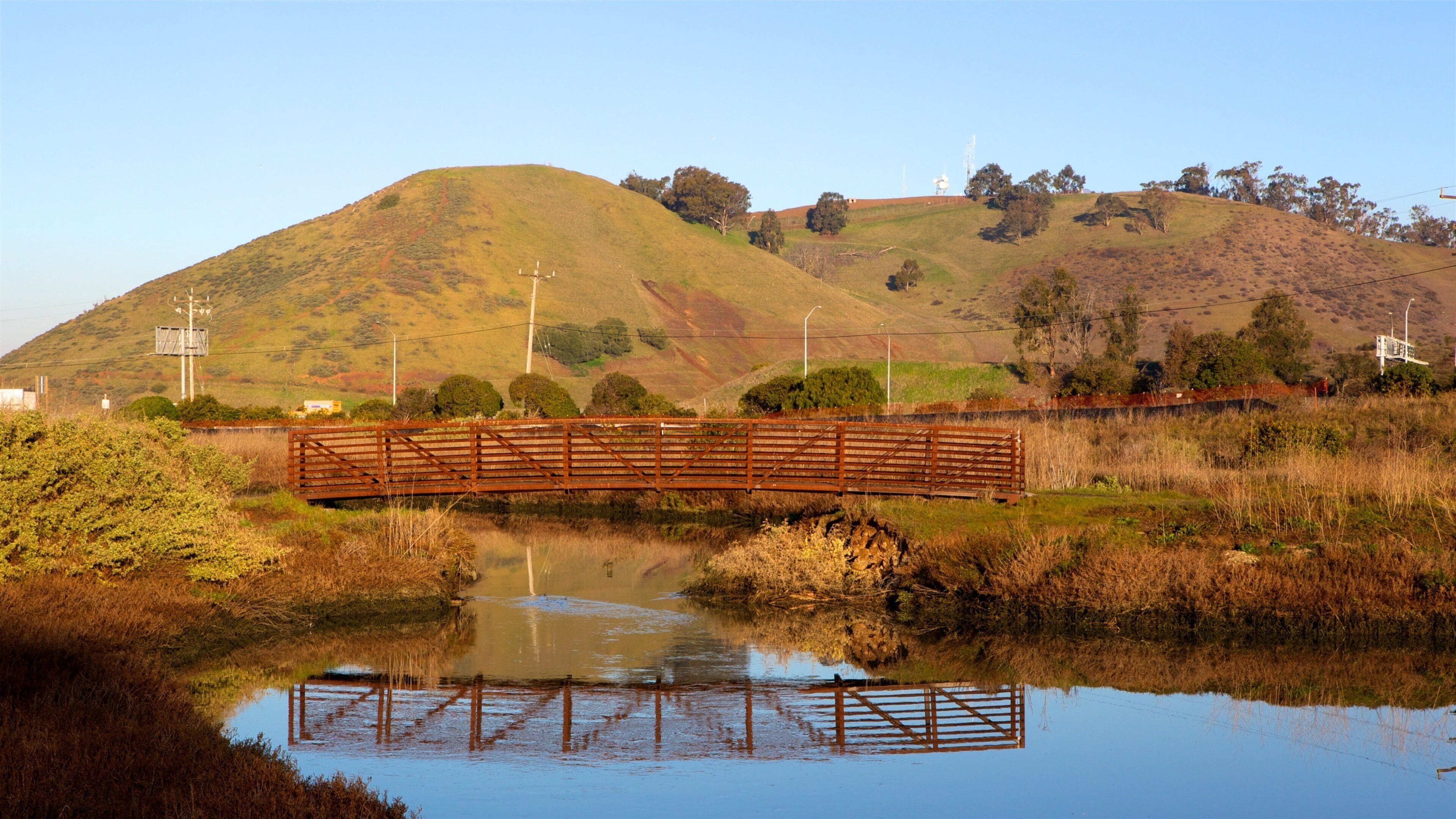 Visit San Jose: 2026 Travel Guide for San Jose, California | Expedia