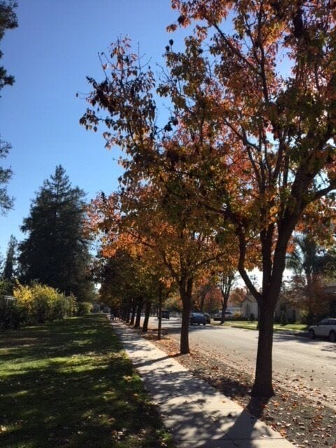 San Jose, California USA