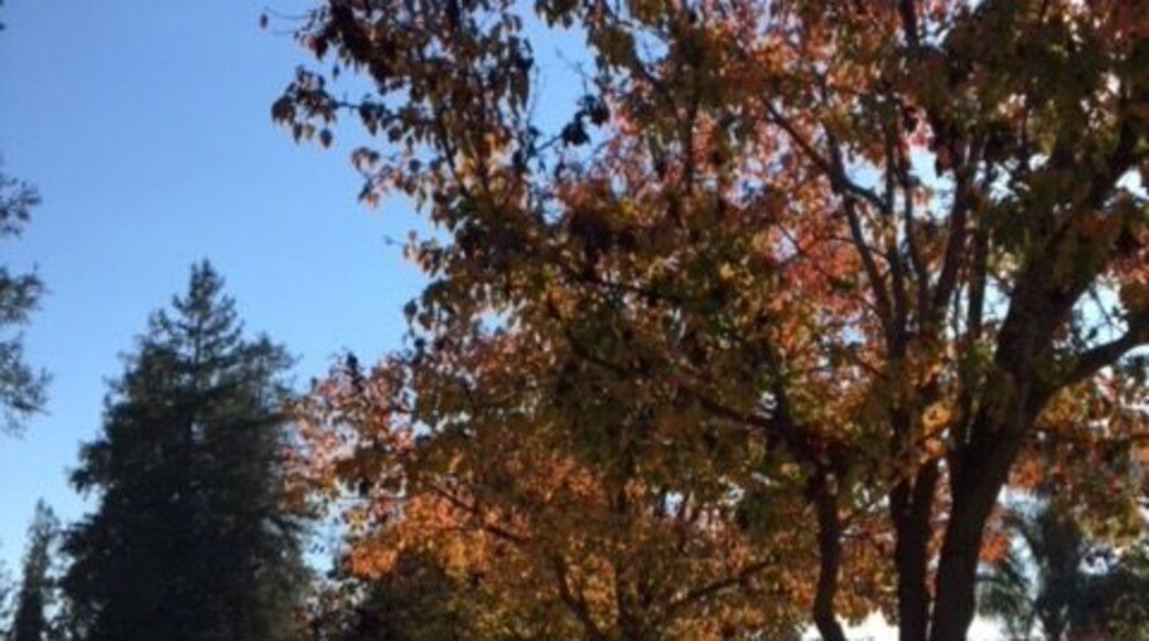 San Jose, California USA