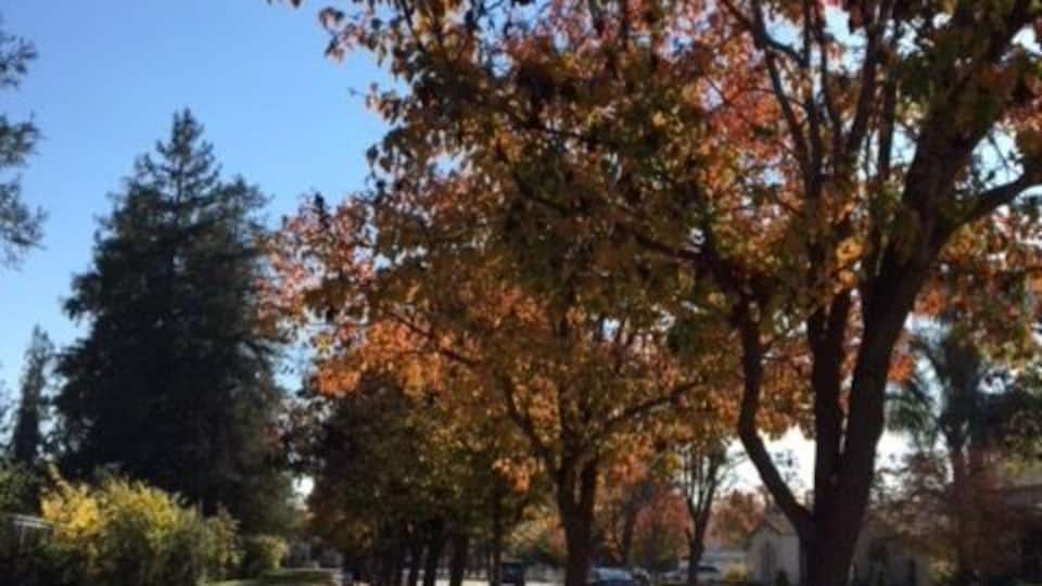 San Jose, California USA