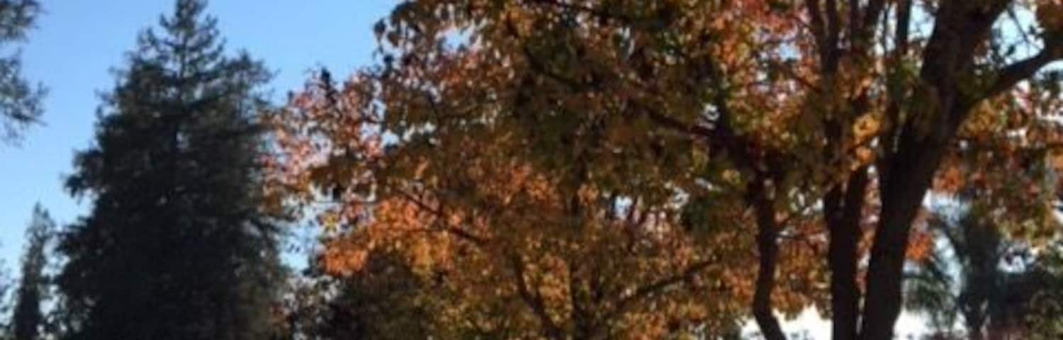 San Jose, California USA