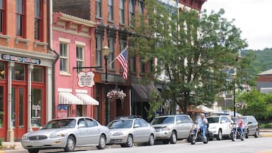 Madison showing street scenes