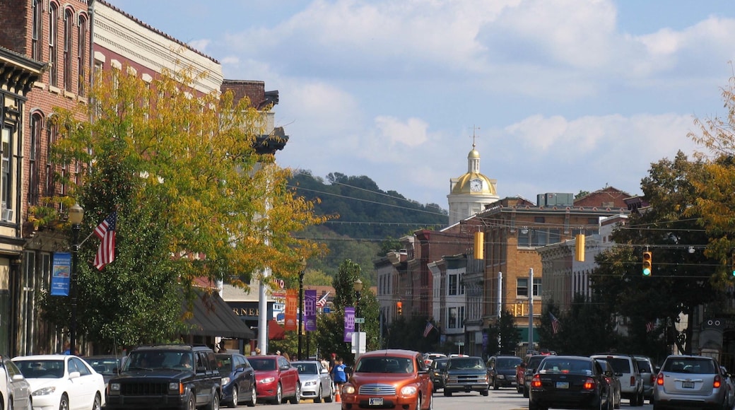 Madison which includes street scenes and a city