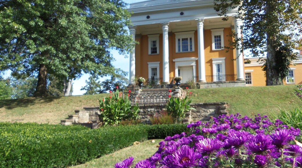 Madison som inkluderer hus, blomster og hage