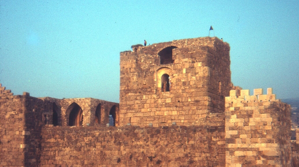 Probably my last of those 1970 photo's. After 46 years of being stuck in a closet, and then converting to a digital format, it just loses too much quality. This one of the Crusader Castle in Byblos, Lebanon actually looks a little better than the one in Athens, Greece.