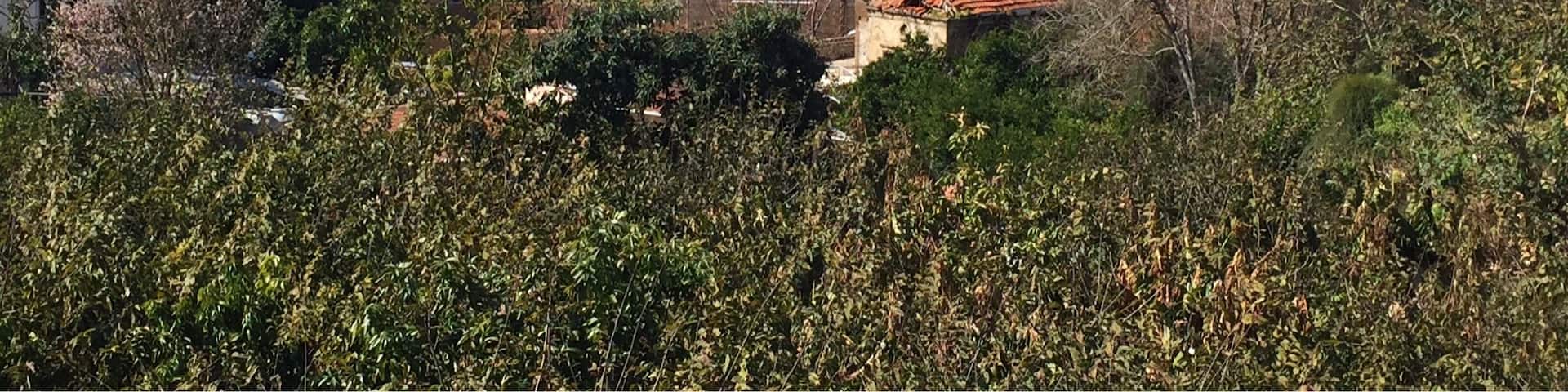 Postcard from the ancient Byblos