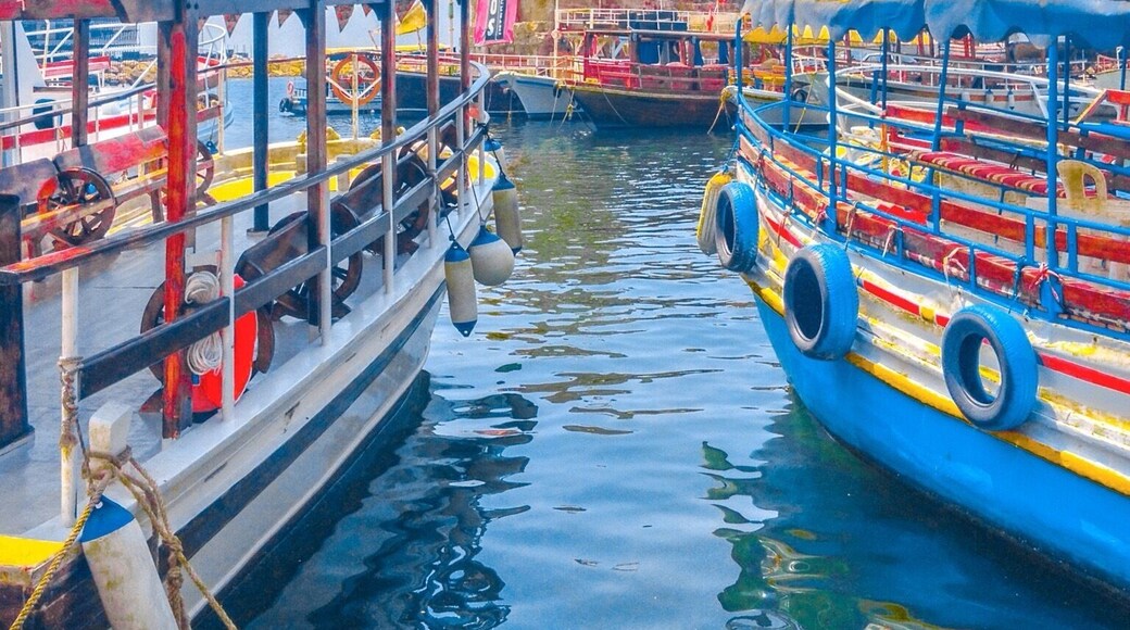 One of the fishing ports of Lebanon
#blue