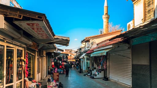 The old market of Komotini, a small area of the shops which dates to the Ottoman era. Here you will find every kind of shop from antique stores .