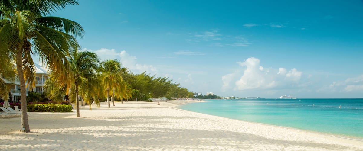 A sandy beach with palm trees and a clear blue sea.