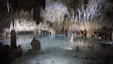 Interesting place to visit... great to see what's under your feet